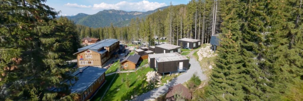 Manene room show fpv