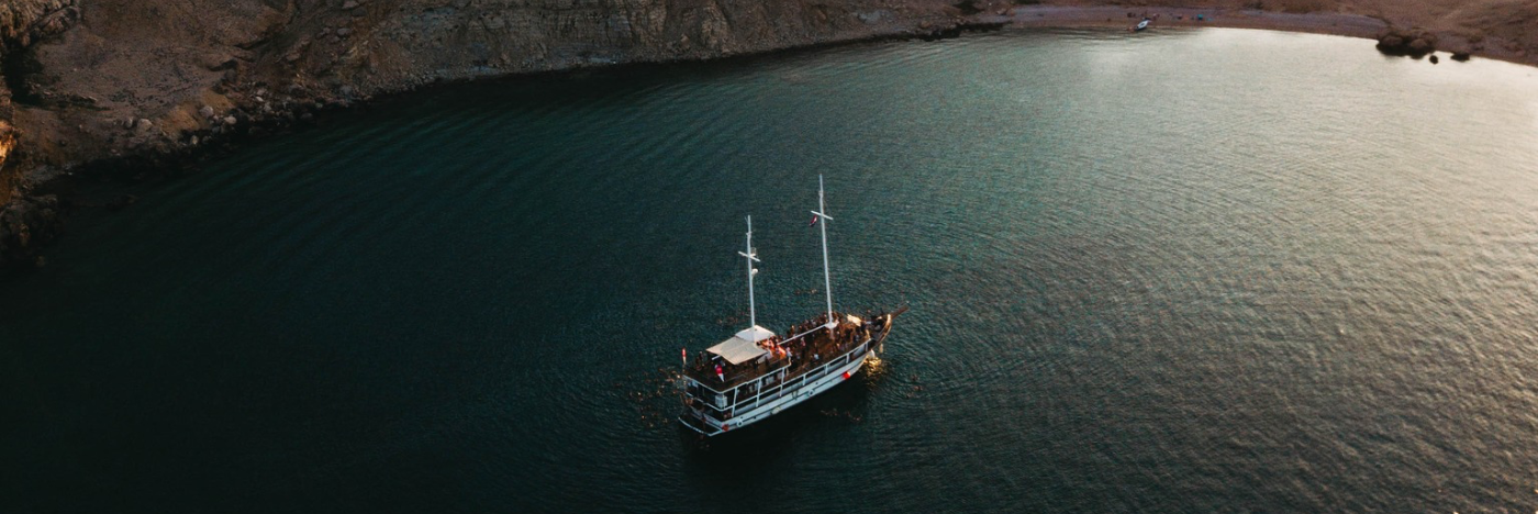 Manene room show fpv